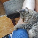  ,   , 57 ,   