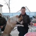  ,   , 44 ,   ,   