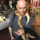 ���������� ����, ���� ������� ����, 41 ���, ������������ ��� ������, ���������