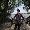 ���������� ��������, ���� ������� ������, 31 ���, ������������ ��� ����� � ���������, c�������� ���������, ���������