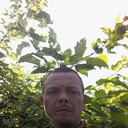  ,   , 43 ,  