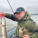  ,   , 55 ,   