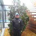 ���������� ����, ���� ������� ����, 43 ����, ������������ ��� ������, ����� � ���������, c�������� ���������