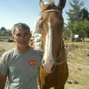  ,   , 52 ,     , c , 