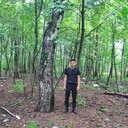 ���������� ������, ���� ������� �����, 26 ���, ������������ ��� ������, ����� � ���������