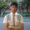  -,   , 41 ,   