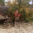 ���������� ������, ���� ������� ���, 58 ���, ������������ ��� ������, ����� � ���������, c�������� ���������, ���������