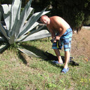 ���������� �����, ���� ������� ����, 42 ����, ������������ ��� ������, ����� � ���������, c�������� ���������