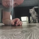  ,   , 44 ,   ,   , c 