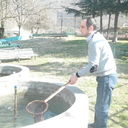  ,   Giorgi, 44 ,   