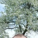  ,   Demon, 18 ,     , c 