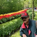 ���������� ����, ���� ������� StoneLion, 61 ���, ������������ ��� ������, ����� � ���������, c�������� ���������