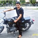  ,   PitBul, 37 ,   ,   , c , 