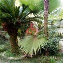 ���������� ������-��-����, ���� ������� ���������, 69 ���, ������������ ��� c�������� ���������