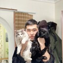 ���������� ������, ���� ������� ������, 28 ���, ������������ ��� ������, ����� � ���������, c�������� ���������, ���������