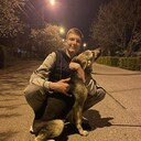 ���������� ���������, ���� ����� ���������, 22 ����, ������������ ��� ������, ����� � ���������