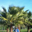  ,   Ghena, 48 ,   ,   , c 
