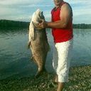 ���������� �����, ���� ������� ����, 44 ����, ������������ ��� ������, ����� � ���������, c�������� ���������