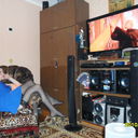  ,   , 51 ,   ,   , c 