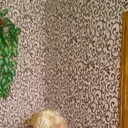  ,   Margo, 43 ,  