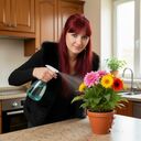 ���������� �������, ���� ������� �����, 31 ���, ������������ ��� ���������