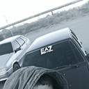 ���������� ������, ���� ������� �����, 36 ���, ������������ ��� ������, ����� � ���������, c�������� ���������