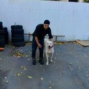 ���������� ������, ���� ������� ������, 46 ���, ������������ ��� ������, ����� � ���������