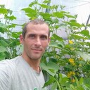 ���������� ����, ���� ������� ������, 42 ����, ������������ ��� ����� � ���������, c�������� ���������, ���������