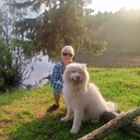 ���������� ���������, ���� ������� ��������, 66 ���, ������������ ��� c�������� ���������