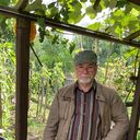  Kassel,   Waldi, 73 ,   ,   