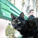 ���������� ��������, ���� ������� Denis, 36 ���, ������������ ��� ������, ����� � ���������, c�������� ���������