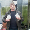 ���������� �����-���������, ���� ������� �������, 37 ���, ������������ ��� ������, ����� � ���������