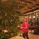  ,   , 60 ,   ,   