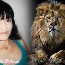  ,   , 51 ,   ,   , c 