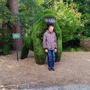 ���������� ���������, ���� ������� �������, 37 ���, ������������ ��� c�������� ���������, ���������