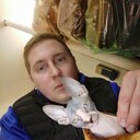  ,   , 29 ,  