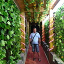  ,   , 54 ,   c 