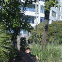 ���������� ����������, ���� ������� ����, 36 ���, ������������ ��� ������, ����� � ���������, c�������� ���������