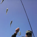 ���������� ������������, ���� ������� ���������, 47 ���, ������������ ��� ����� � ���������, c�������� ���������