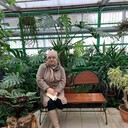   ,   , 59 ,  