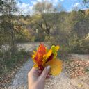 ���������� ������, ���� ������� ������, 42 ����, ������������ ��� ����� � ���������, c�������� ���������