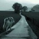 ���������� �����-���������, ���� ������� ����, 36 ���, ������������ ��� ������, ����� � ���������, c�������� ���������