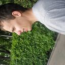 ���������� ������, ���� ������� ReDMiRo, 33 ����, ������������ ��� ������, ����� � ���������, c�������� ���������, ���������