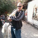 ���������� ������, ���� ������� Ddd, 45 ���, ������������ 