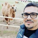 ���������� ����, ���� ������� Robert, 42 ����, ������������ ��� ������, ����� � ���������