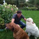 ���������� ������, ���� ������� �����, 44 ����, ������������ ��� ������, ����� � ���������, c�������� ���������