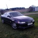 ���������� ����������, ���� ������� ����, 37 ���, ������������ ��� ������