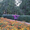  ,   , 62 ,   ,   , c 