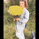 ���������� �����-���������, ���� ������� ������, 29 ���, ������������ 