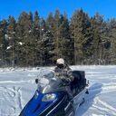 ���������� �����������, ���� ����� ����, 22 ����, ������������ ��� ����� � ���������, c�������� ���������